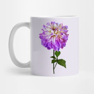 Pale Pink and White Dahlia Mug